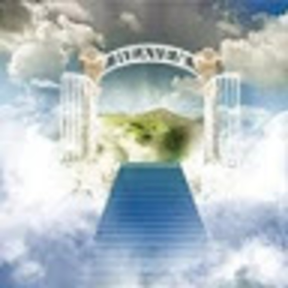 Meet your Posher, Hailey